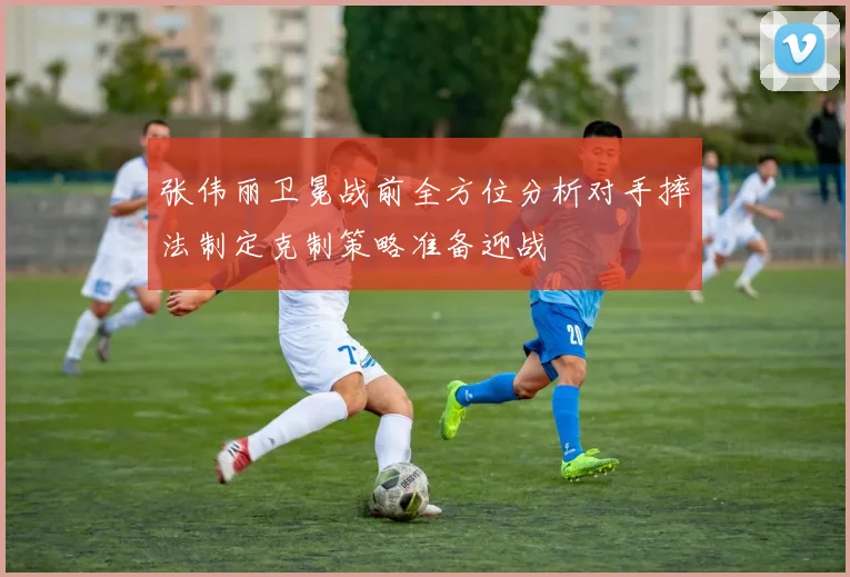 张伟丽卫冕战前全方位分析对手摔法制定克制策略准备迎战
