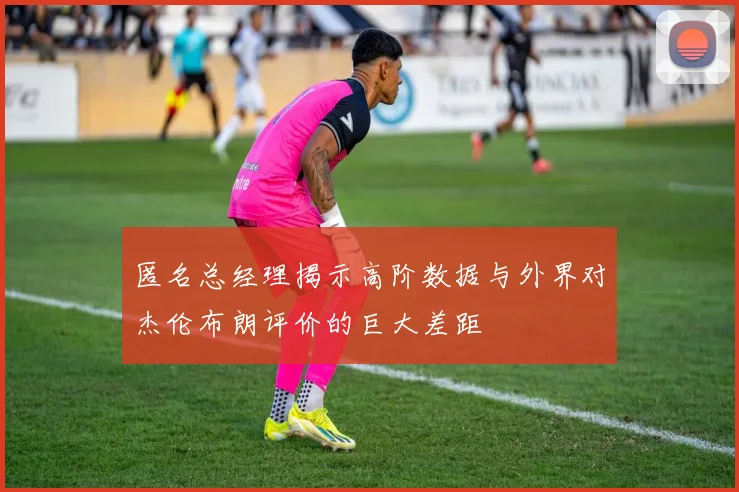 匿名总经理揭示高阶数据与外界对杰伦布朗评价的巨大差距
