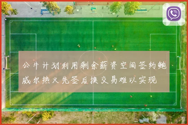 公牛计划利用剩余薪资空间签约鲍威尔热火先签后换交易难以实现
