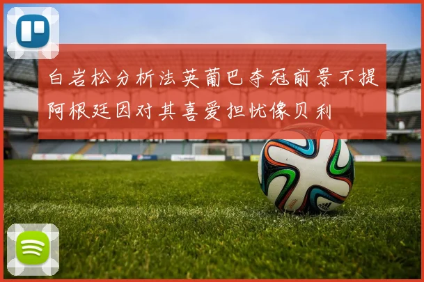 白岩松分析法英葡巴夺冠前景不提阿根廷因对其喜爱担忧像贝利